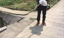 筠连网友爆料最新新闻,最新新闻事件引发关注